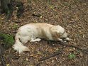 Moldova 2009 028